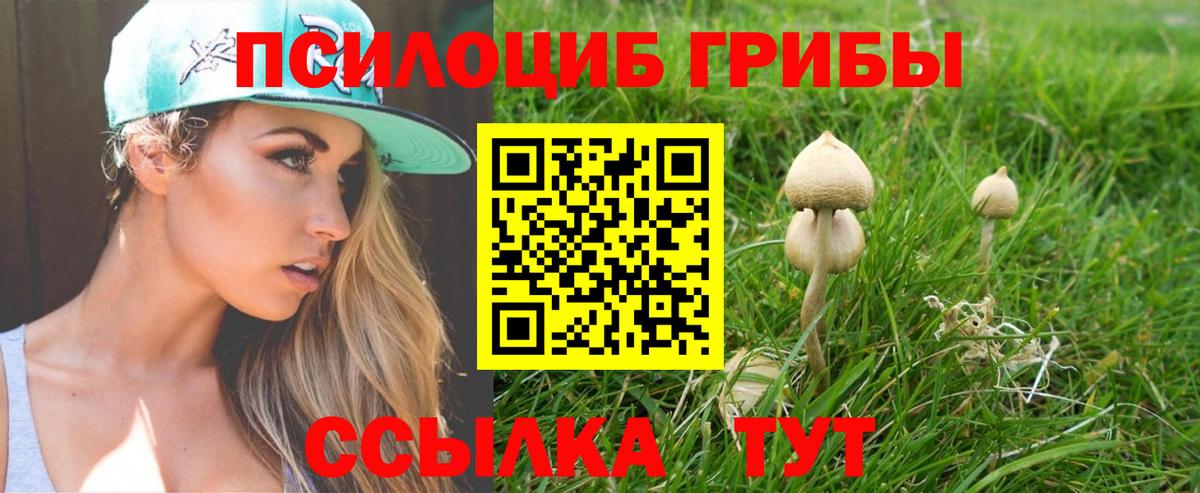 Псилоцибиновые грибы Psilocybe  Галлюциногенные грибы ЛСД  Вход с VPN  Учалы 